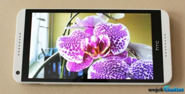 HTC Desire 816