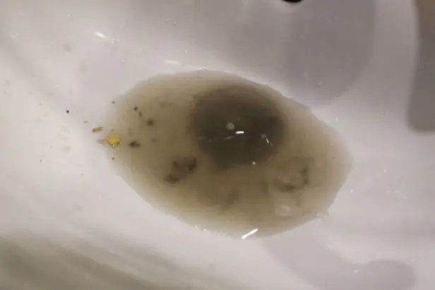 iRobotScooba