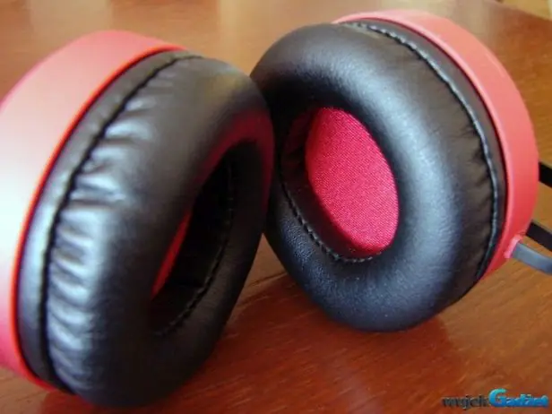 Maxell_Kuma_10