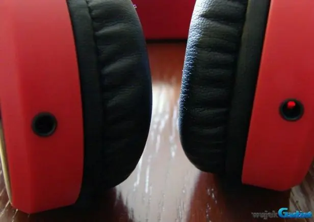 Maxell_Kuma_2