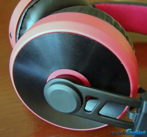 Maxell_Kuma_4