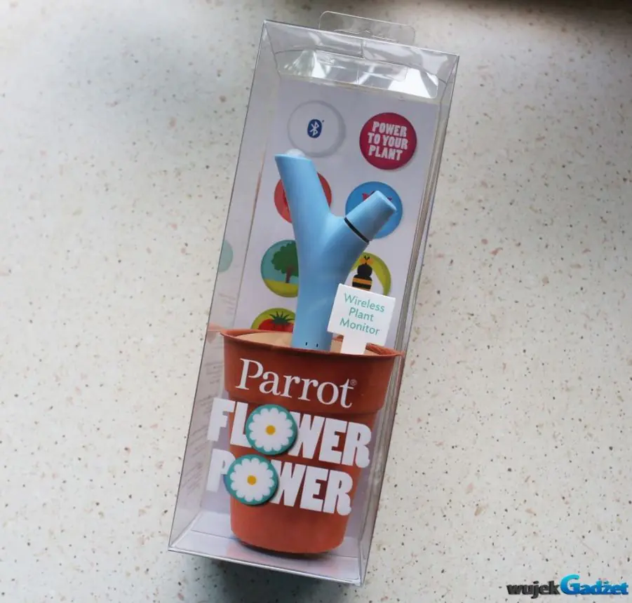 Flower Power – czujnik, który pomoże Twoim roślinkom – test produktu Parrot