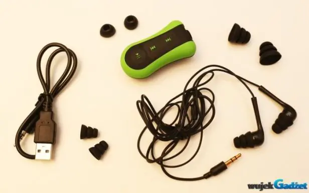 art_amp-01g_3