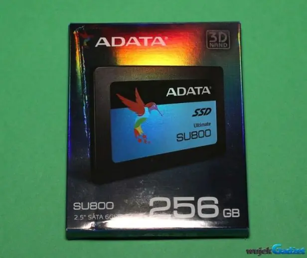 adata_su800_ssd_2