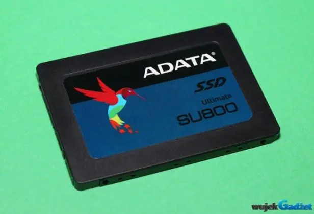 adata_su800_ssd_6