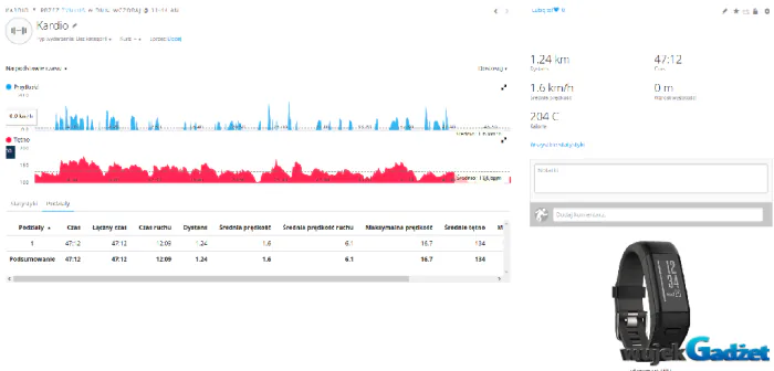 garmin1