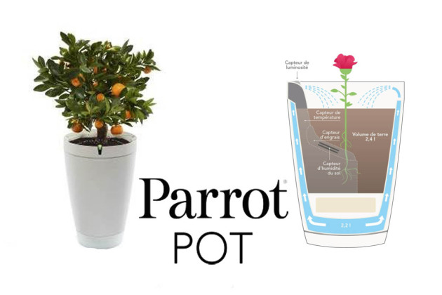 1 doniczka Parrot Pot = 1 drzewo