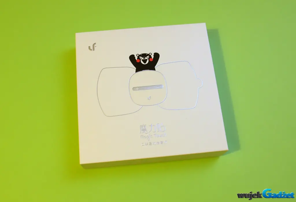 Test domowego masażera XiaoMi Magic Touch