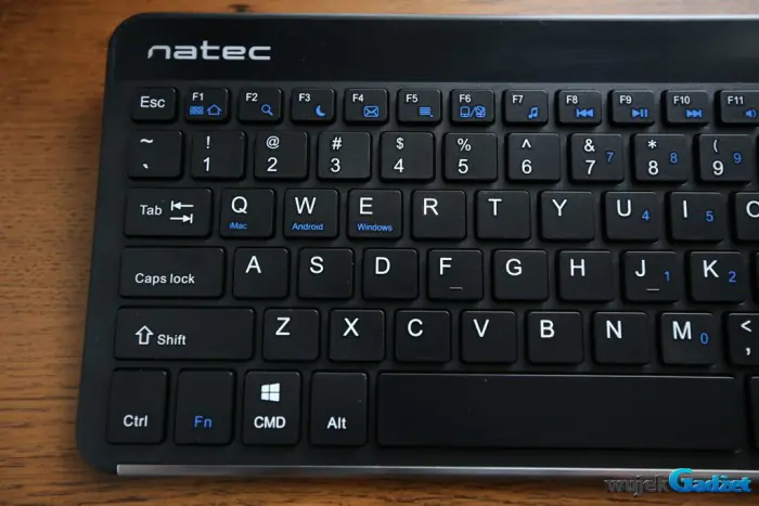Natec_Turbot_5