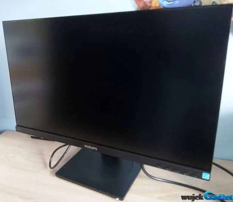 Recenzja monitora Philips 245B1