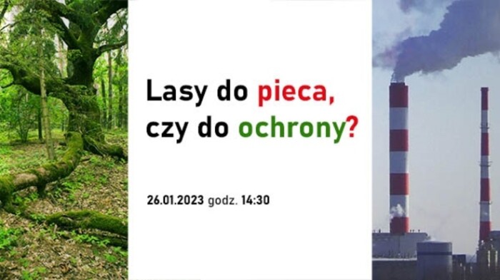 Fundacja Instytut Spraw Obywatelskich: lasy do pieca czy do ochrony?