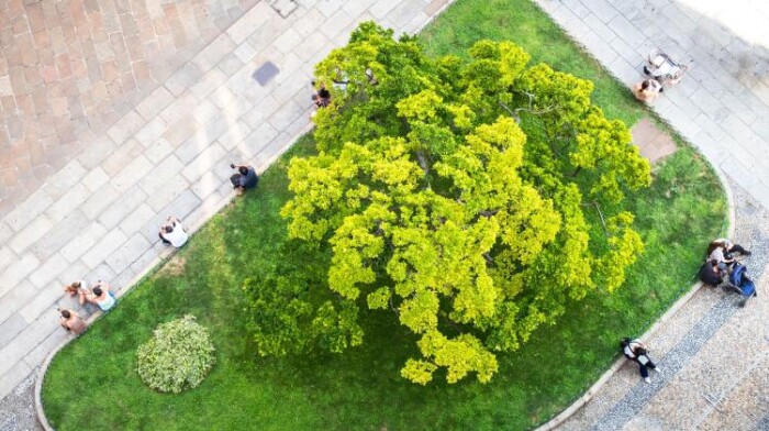 Eksperci: zieleń miejska może łagodzić skutki zmian klimatu