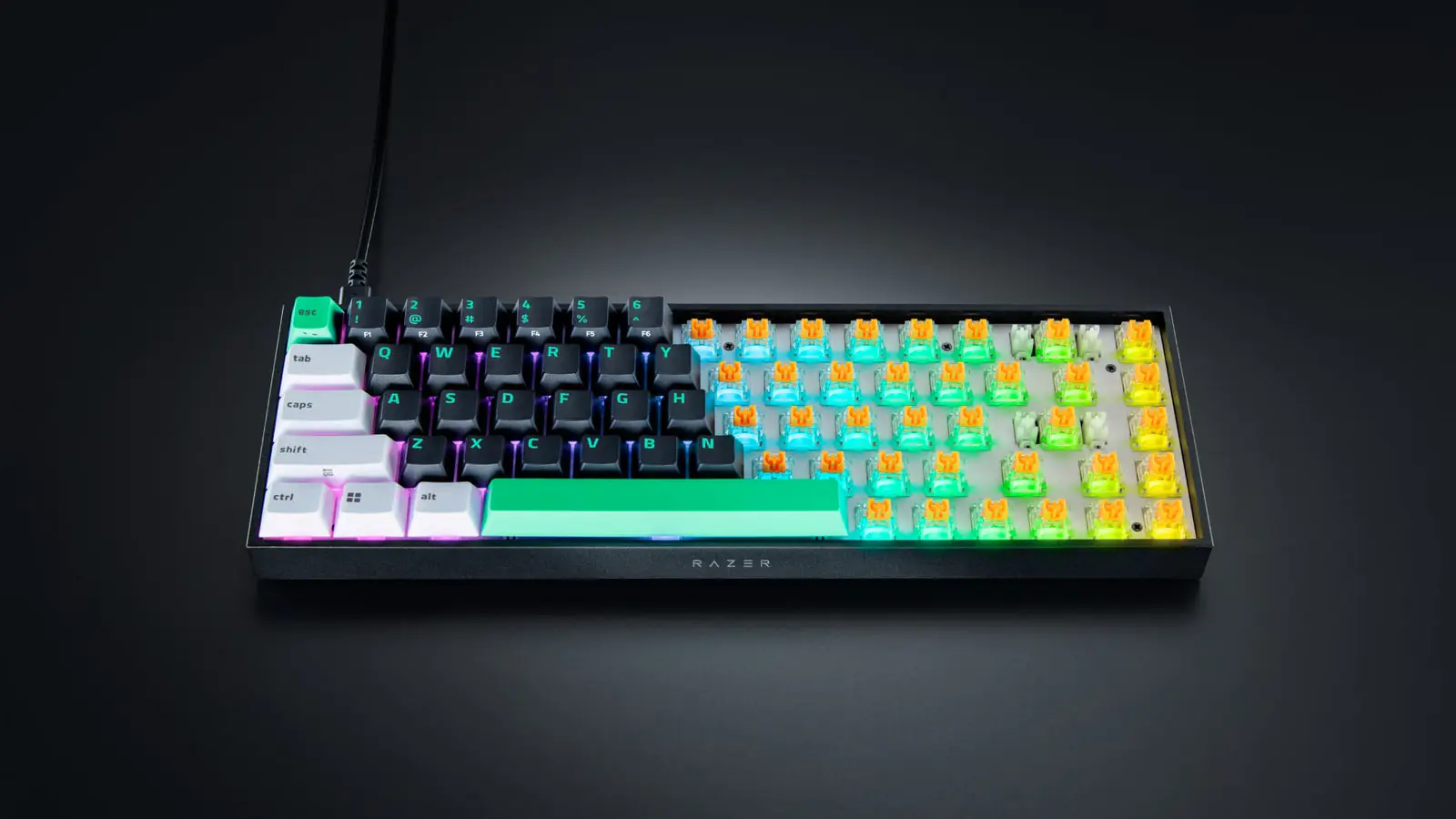 Idealne brzmienie prosto z pudełka: Poznaj zupełnie nową Razer Reclusa X Mini 65%
